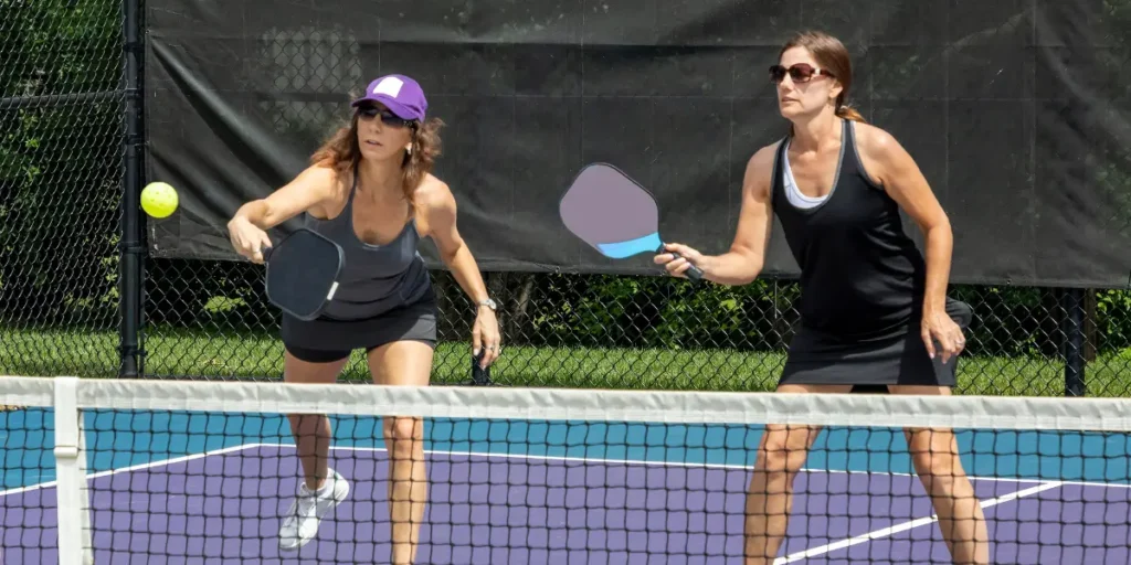 Dink Shot in Pickleball Explained What It Means and How to Use It
